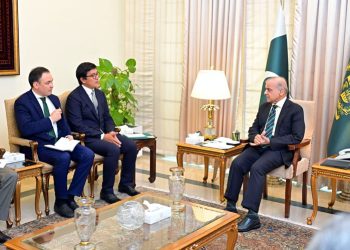 وزیراعظم کا پاکستان اور کرغزستان تعاون میں پیشرفت پر اطمینان کا اظہار