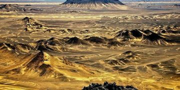 ریکوڈک منصوبے میں پاکستان اور سعودی عرب کے درمیان سہولت کار کے طور پر کام نہیں کر رہے، بیرک