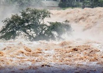 خیبر پختونخوا، کشمیر، گلگت میں بارشوں نےتباہی مچادی، 330 سے زائد افراد جاں بحق