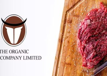 پاکستانی آرگینگ میٹ کمپنی نے باضابطہ طور پر تاجکستان کی مارکیٹ میں کاروبار کا اغاز کردیا