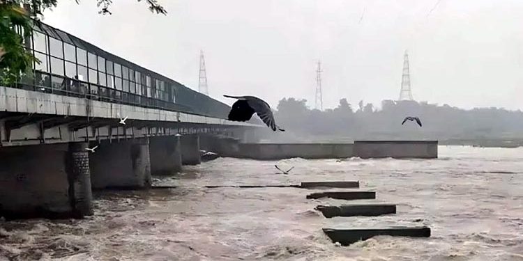 بھارت نے ستلج میں مزید پانی چھوڑ دیا، سیلابی ریلے سے پنجاب کے 9 اضلاع ہائی الرٹ