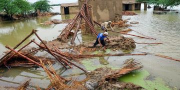سیلاب سے پنجاب سندھ سرحد کی دریائی پٹی پر تباہی، زمینی رابطے منقطع، فصلیں برباد