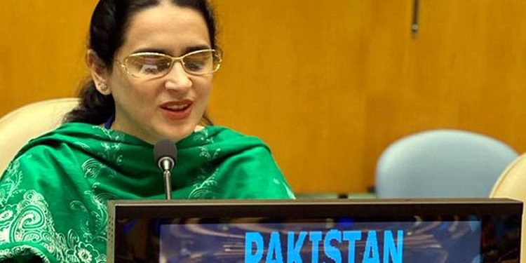 بھارت دہشتگردوں کی مالی و عسکری سرپرستی، کشمیر میں ظلم چھپا نہیں سکتا: پاکستان