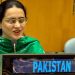 بھارت دہشتگردوں کی مالی و عسکری سرپرستی، کشمیر میں ظلم چھپا نہیں سکتا: پاکستان