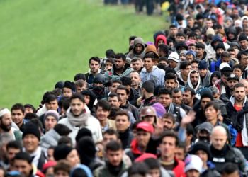 امریکا میں افغان تارکین وطن کے سنگین جرائم بے نقاب، متعدد گرفتار، ڈی پورٹیشن کا اعلان