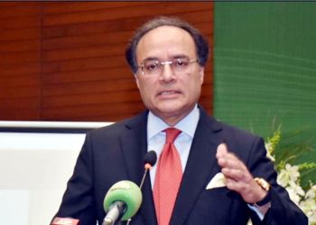 وفاقی حکومت نے 24 سرکاری ادارے فروخت کرنے کا فیصلہ کر لیا: وزیر خزانہ