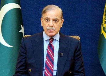 27 ویں ترمیم پر صدر و اتحادی جماعتوں کا شکریہ، نواز شریف سے رہنمائی لی: وزیراعظم