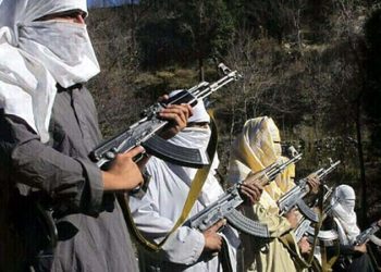 کالعدم ٹی ٹی پی نے افغان سرزمین کو استعمال کر کے پاکستان میں متعدد حملے کیے: ڈنمارک