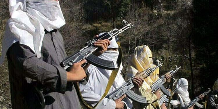 کالعدم ٹی ٹی پی نے افغان سرزمین کو استعمال کر کے پاکستان میں متعدد حملے کیے: ڈنمارک