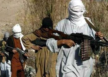 TTP is carrying out terrorism in Pakistan with American weapons in Afghanistan American journal