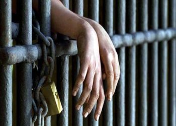 11ممالک میں 21ہزار سے زائد پاکستانی جیلوں میں قید