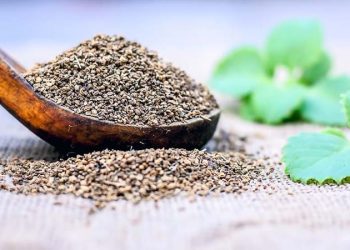 سردیوں کے امراض میں اجوائن کے حیرت انگیز فوائد