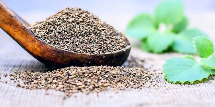 سردیوں کے امراض میں اجوائن کے حیرت انگیز فوائد