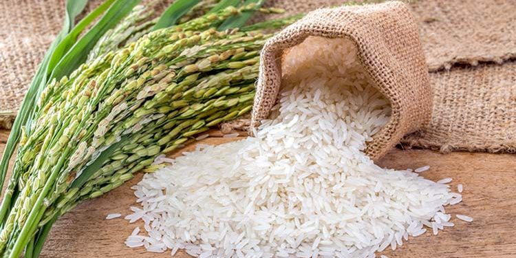پاکستان میں باسمتی چاول کی نئی تاریخ رقم، سب سے لمبے دانے والی نئی قسم متعارف