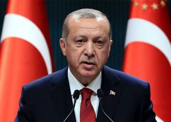 Venezuela should not be pushed towards instability after the ouster of President Maduro, Erdogan says