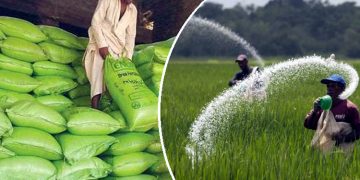 Gas crisis in Pakistan, fertilizer production halted