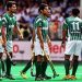Great news for the national hockey team