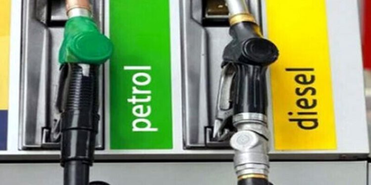 How much was the petroleum levy increased