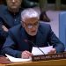Iranian envoy addresses UN Security Council