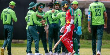 White-ball cricket series between Pakistan and Zimbabwe suspended