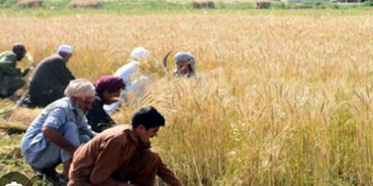 A major announcement has been made about a subsidy program for farmers.
