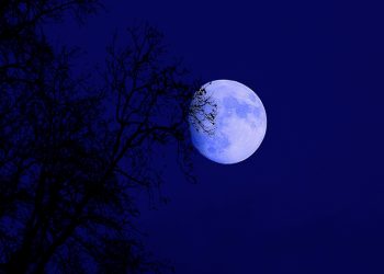 Blue Moon after Flower Moon, a surprising miracle of nature