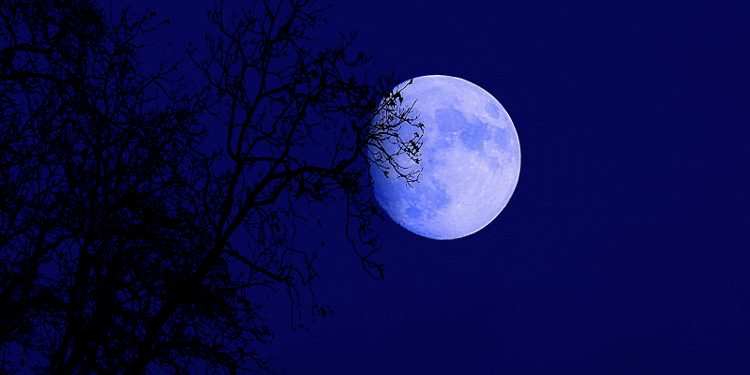 Blue Moon after Flower Moon, a surprising miracle of nature