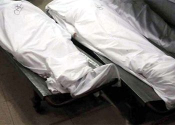 Bodies of 3 children with throat slit recovered from Lahore's Achhra