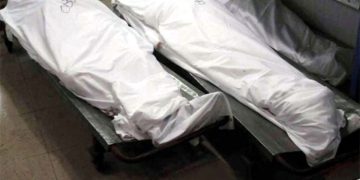 Bodies of 3 children with throat slit recovered from Lahore's Achhra