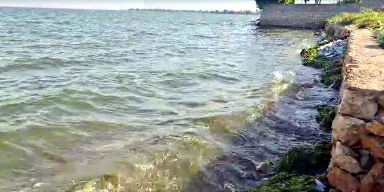 Glacier melting accelerates water flow in Indus River