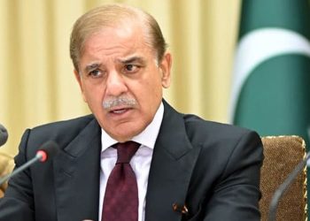 آیئے مل کر دنیا میں امن کیلئے کوشش کریں ،وزیراعظم شہباز شریف