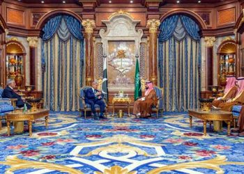 Prime Minister Shehbaz Sharif meets Saudi Crown Prince