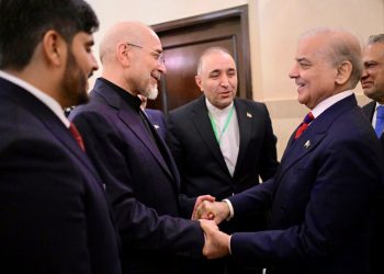 پاکستان امن کیلئے کردار ادا کرتا رہے گا،وزیراعظم شہبازشریف