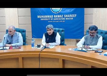 پنجاب میں 32 لاکھ ایکڑ رقبہ پر کپاس کی کاشت کا ہدف مقرر