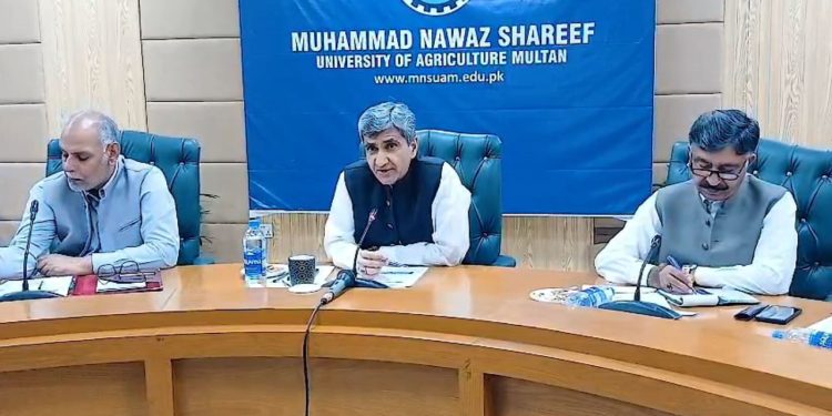 پنجاب میں 32 لاکھ ایکڑ رقبہ پر کپاس کی کاشت کا ہدف مقرر