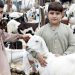 7 holidays announced for Eid-ul-Adha