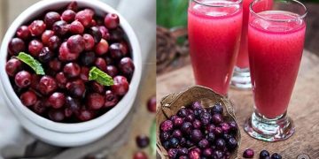 A natural cold drink to break the heat. A glass of Falsa and instant cooling in the body.