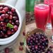 A natural cold drink to break the heat. A glass of Falsa and instant cooling in the body.