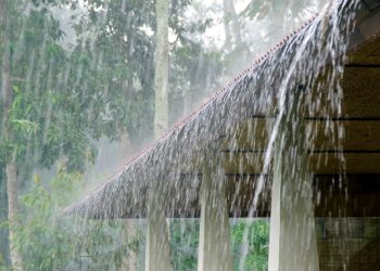 Above normal rainfall forecast in Punjab in next three months