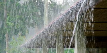 Above normal rainfall forecast in Punjab in next three months