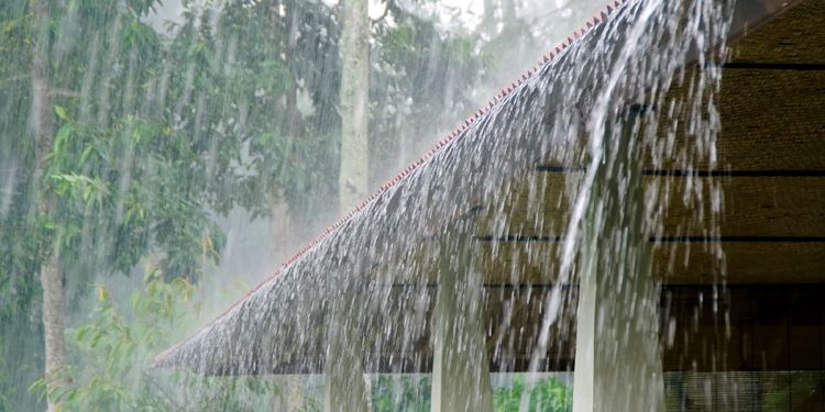 Above normal rainfall forecast in Punjab in next three months
