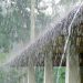 Above normal rainfall forecast in Punjab in next three months
