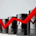 Crude oil prices rise in the global market