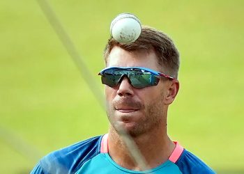 David Warner admits to drink-driving