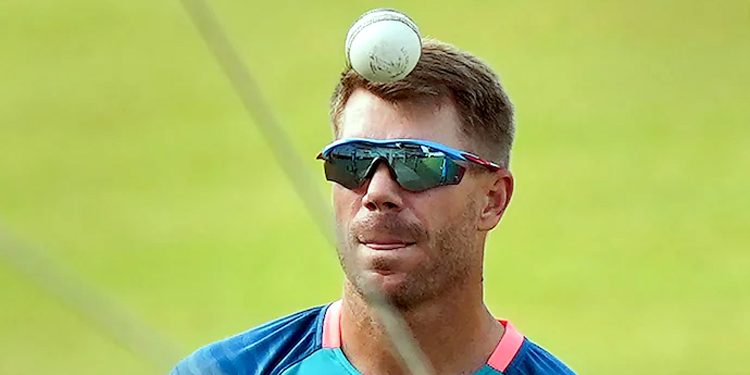 David Warner admits to drink-driving