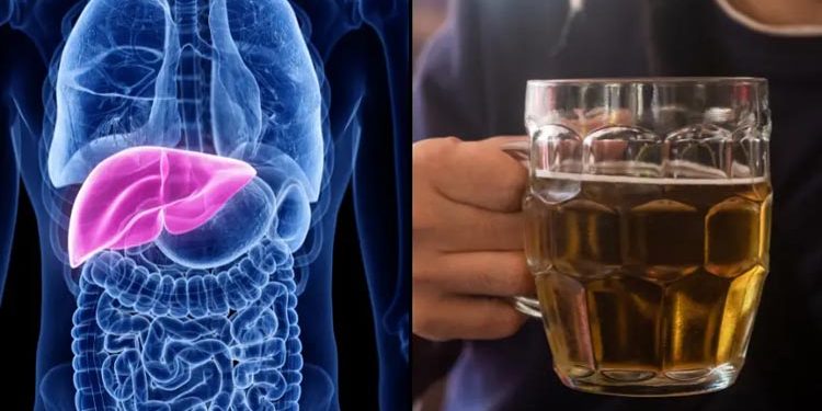 Does alcohol really destroy the body