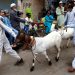 Eid-ul-Adha likely to be celebrated on May 27 in Pakistan