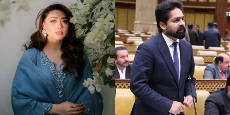 مومنہ اقبال اور لیگی ایم پی اے تنازع میں اہم پیش رفت