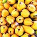 Mango export start date extended to June 1