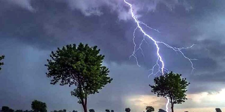 Meteorological Department issues alert of heavy rains from May 11 to 13